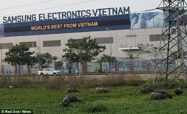 Hotspot Matrix: Tự động hóa hiệu suất với công nghệ tích hợp tài nguyên